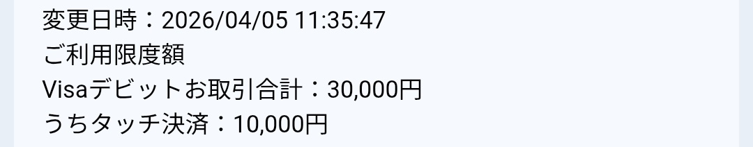 オムニアムライス（ナハトヒンメル） tweet media