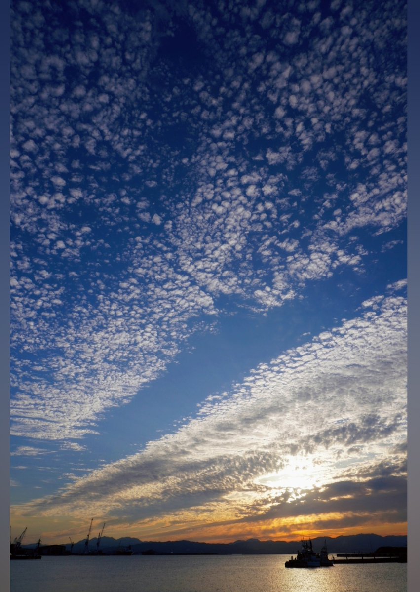 hanamaru tweet media