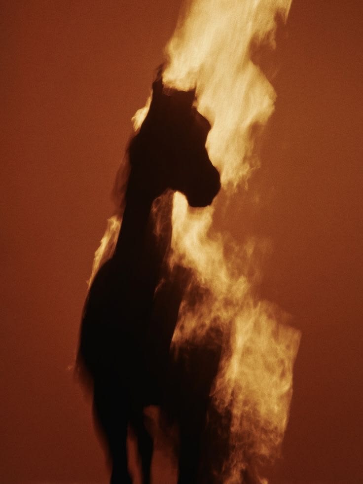 Neutralious tweet media