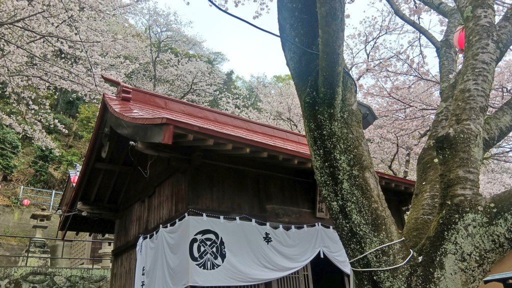 プラウラー金田@TK☆ハートマン tweet media