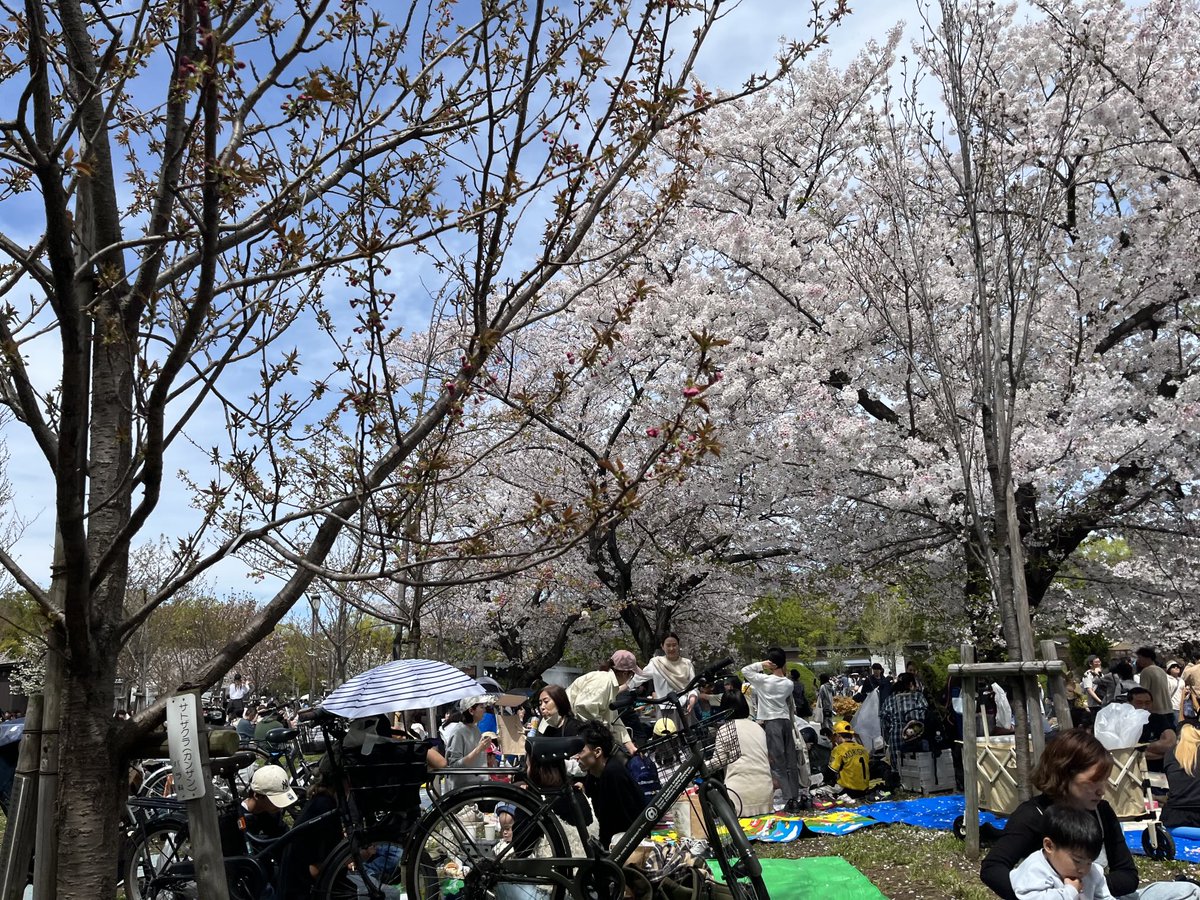 賑わっている