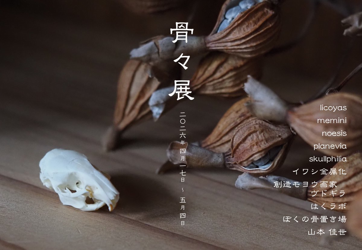 舎利猫 tweet media