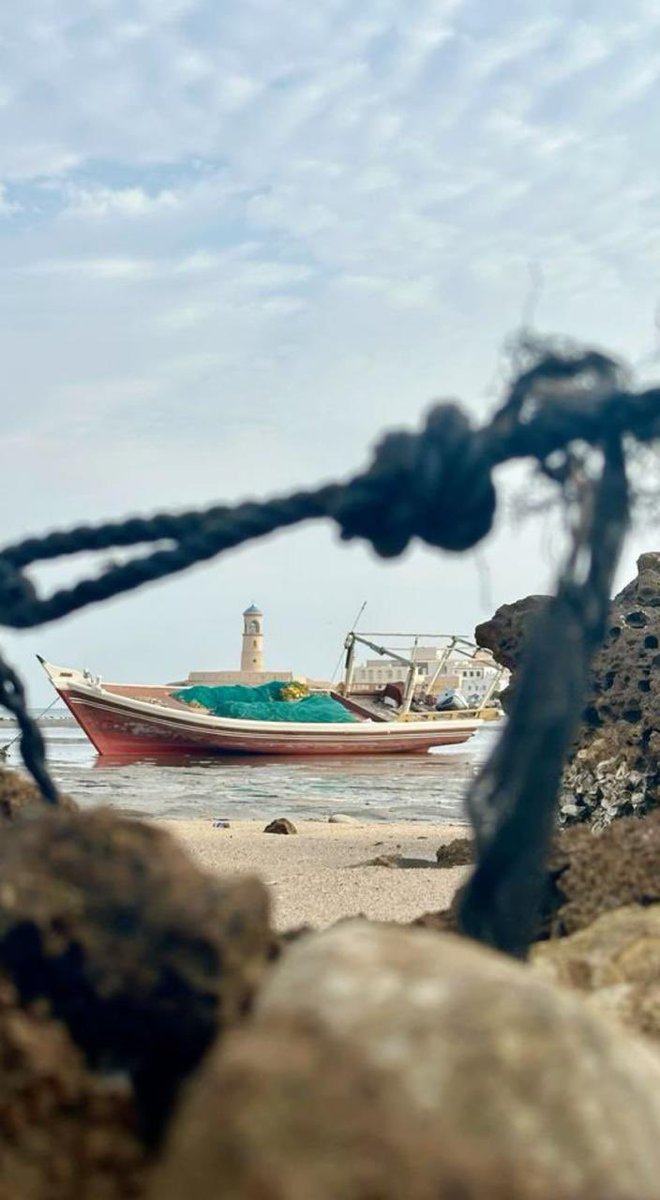 صوفي tweet media