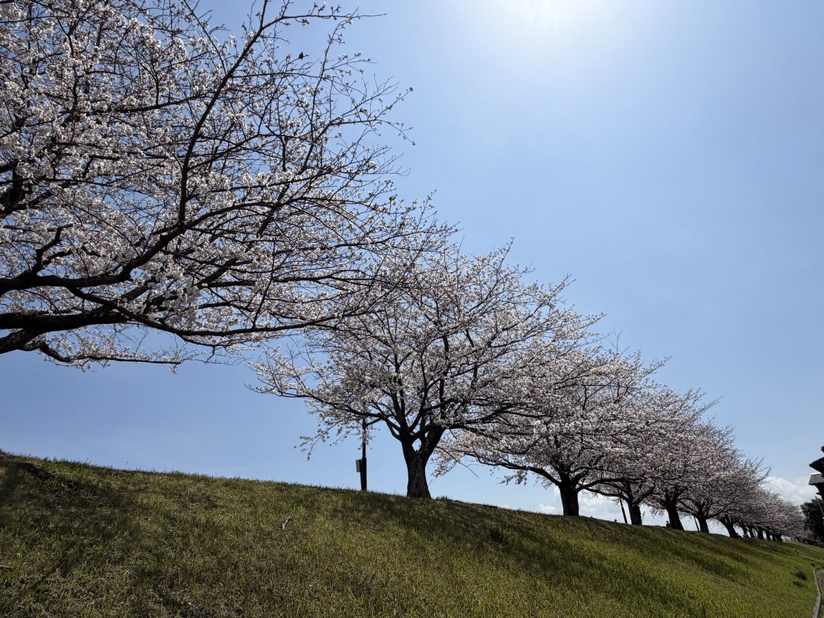 きよちゃん tweet media