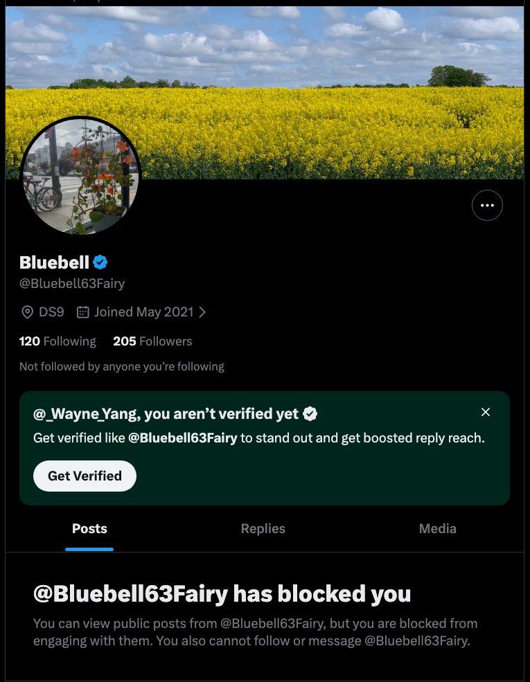 Wayne Yang 🇺🇸☸️ tweet media