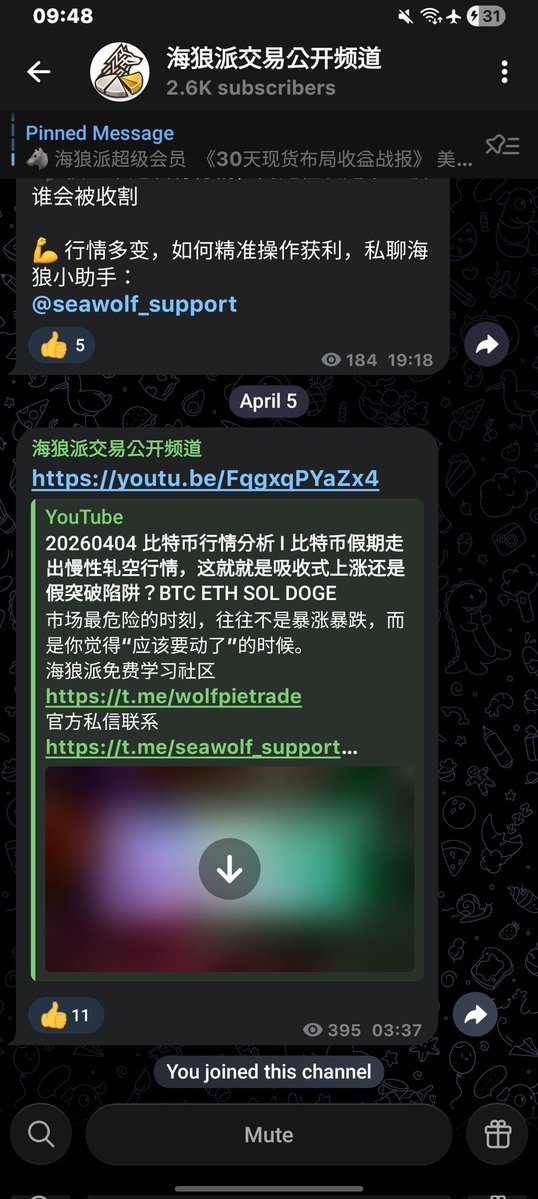 sinamnon tweet media