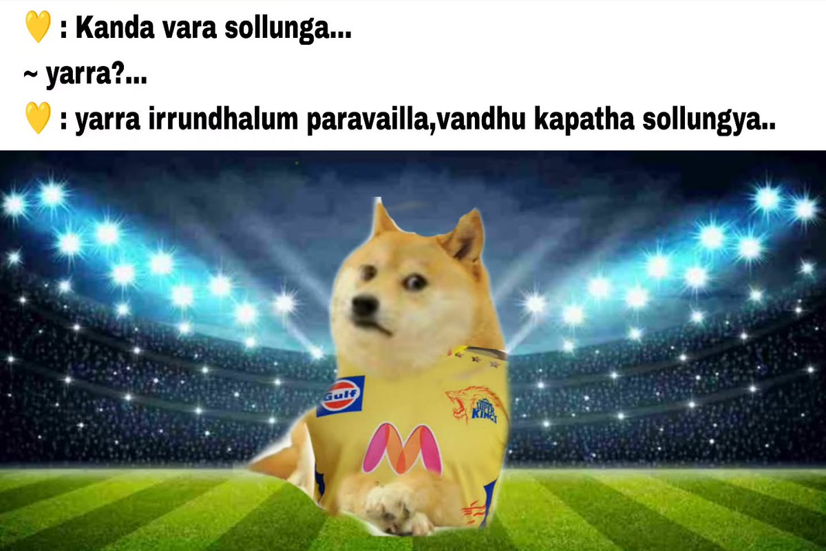 MINATO 💛 // Sack Fleming tweet media