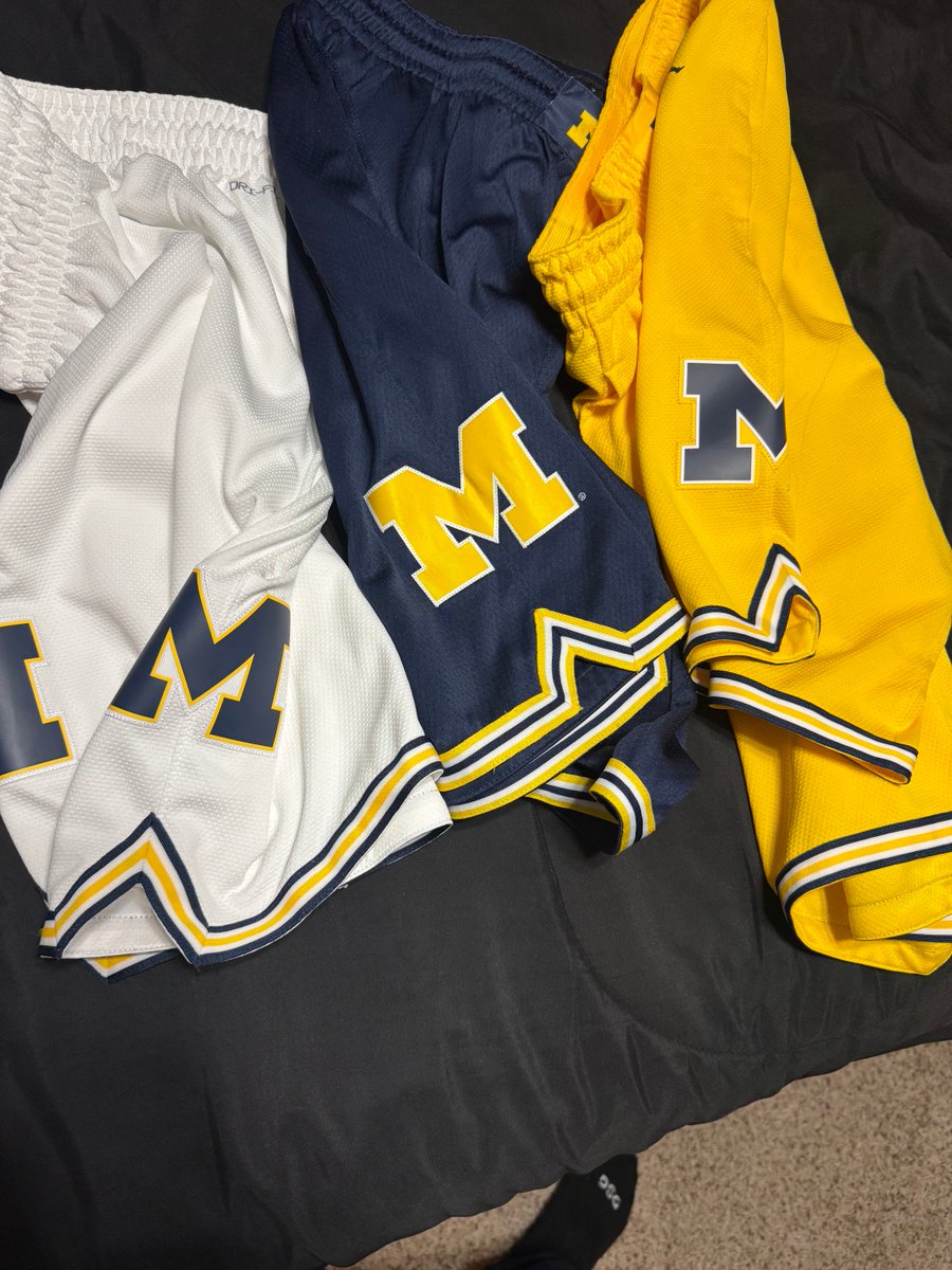 shane borek™ tweet media