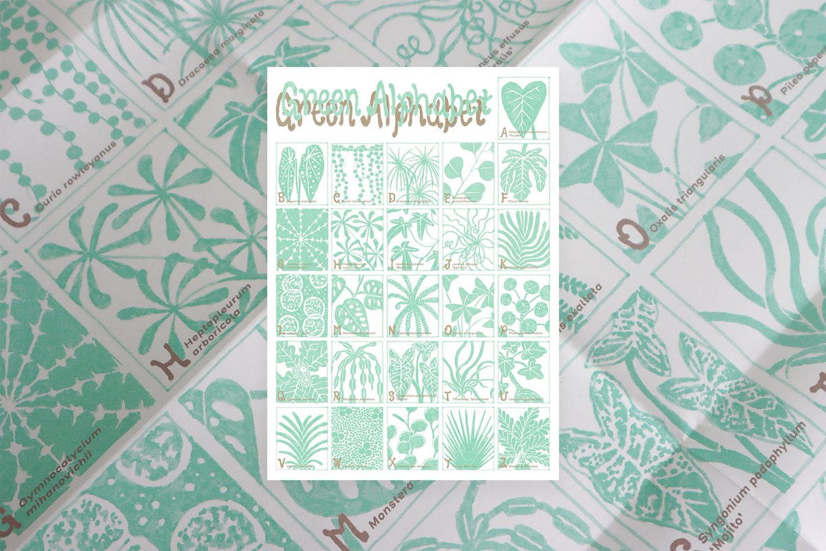 오와영 tweet media