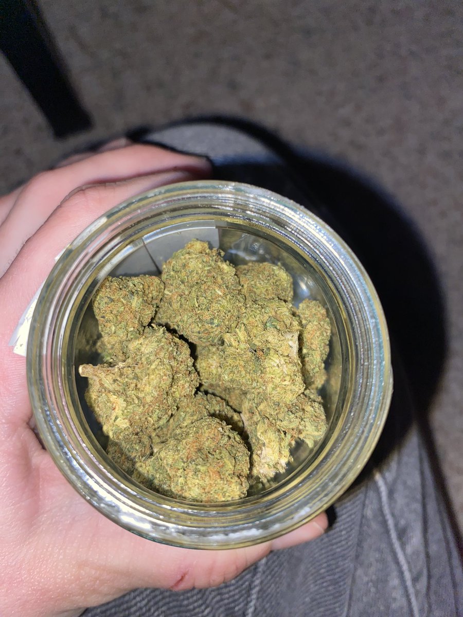 Tai🪼🍃🌌 tweet media