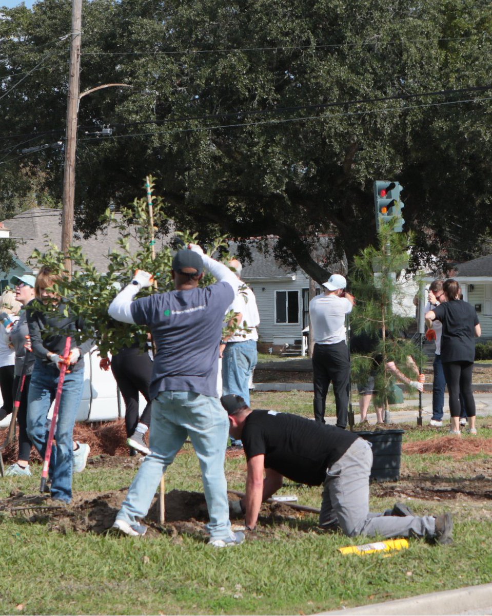 Arbor Day Foundation tweet media