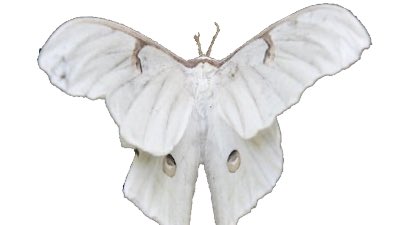 𝓇𝑜𝓈𝒾𝑒 tweet media