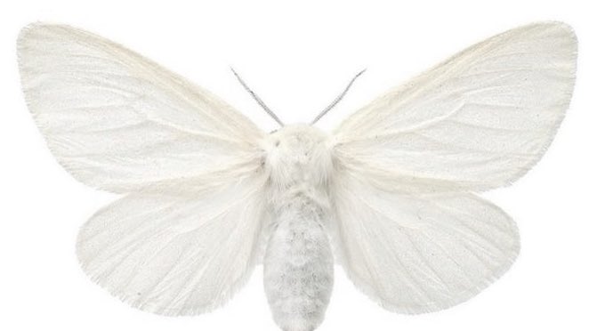 𝓇𝑜𝓈𝒾𝑒 tweet media