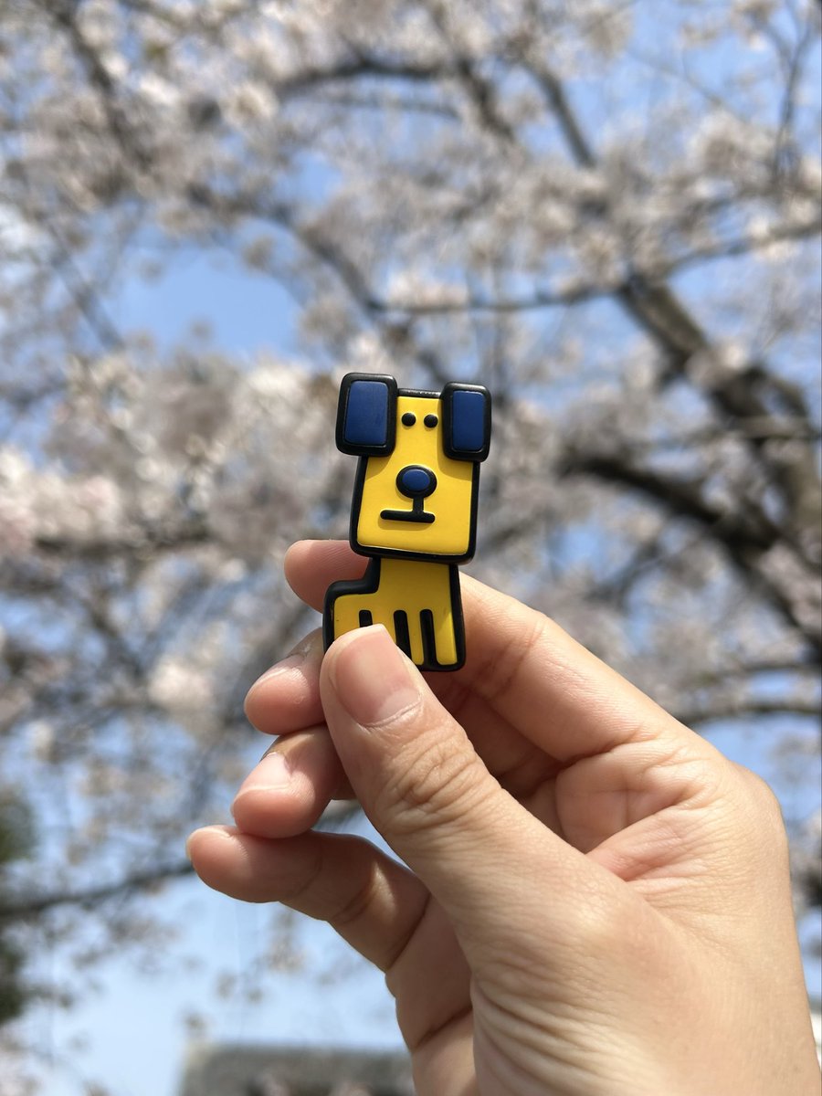 こじま（ち） tweet media