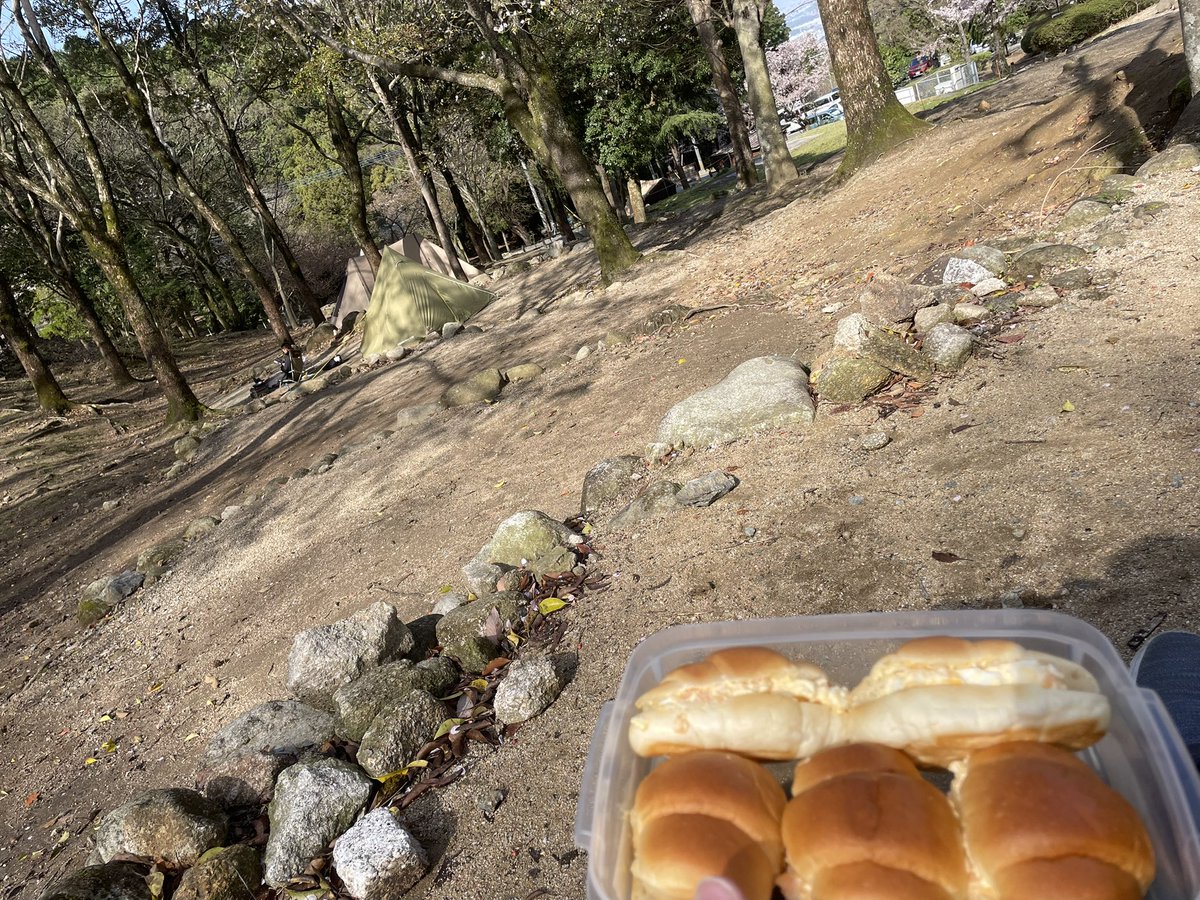 ケダマスカス tweet media