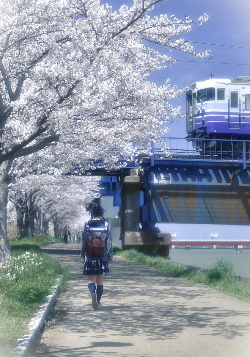 こけだま写真館 tweet media