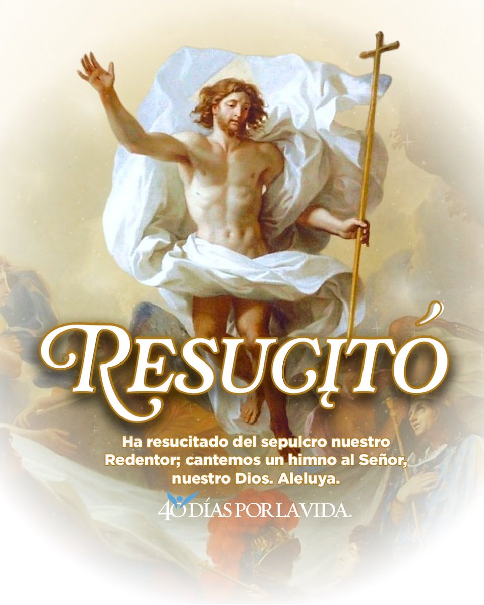 40 Días por la Vida tweet media