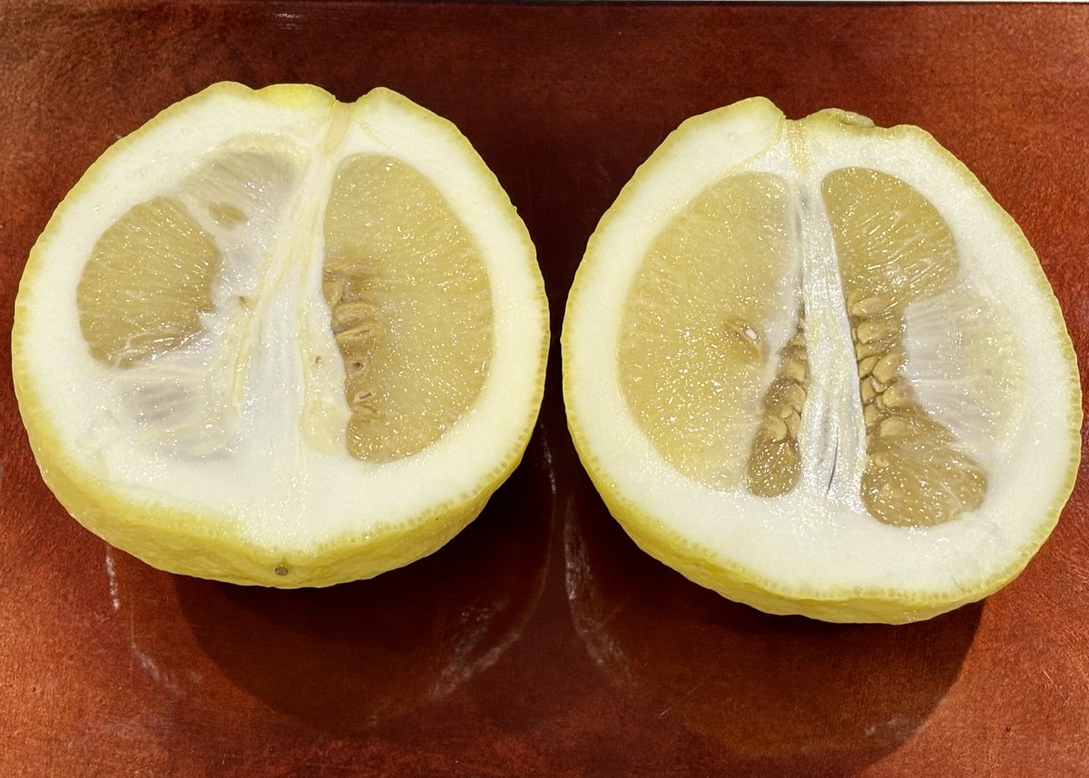 Ｍoonlight tweet media