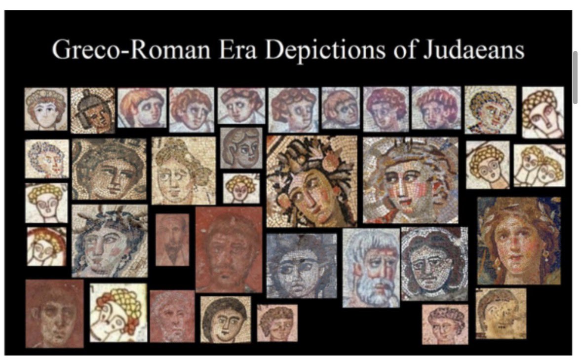 Goy Rebel✝️⚔️🥷 tweet media