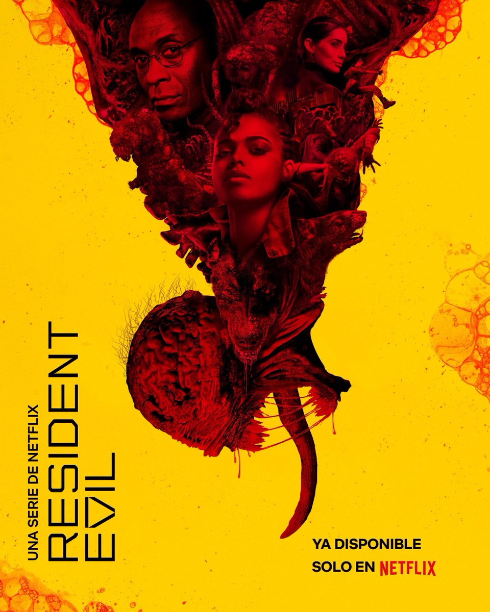 Cryptikk tweet media