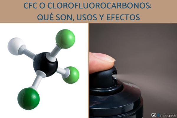 ecologiaverde's tweet photo. CFC o clorofluorocarbonos: qué son, usos y efectos https://t.co/JOJrevNaT7 #sostenibilidadymedioambiente https://t.co/eyjwCKBTg0