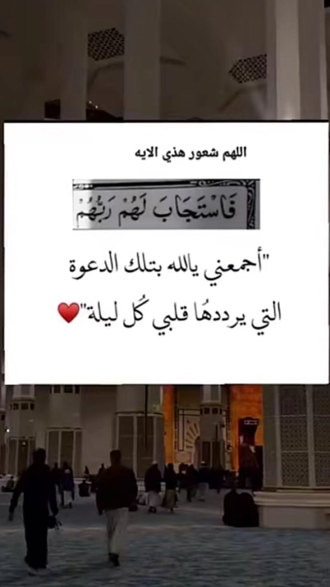 بشرى الشتيوني 🌿. tweet media