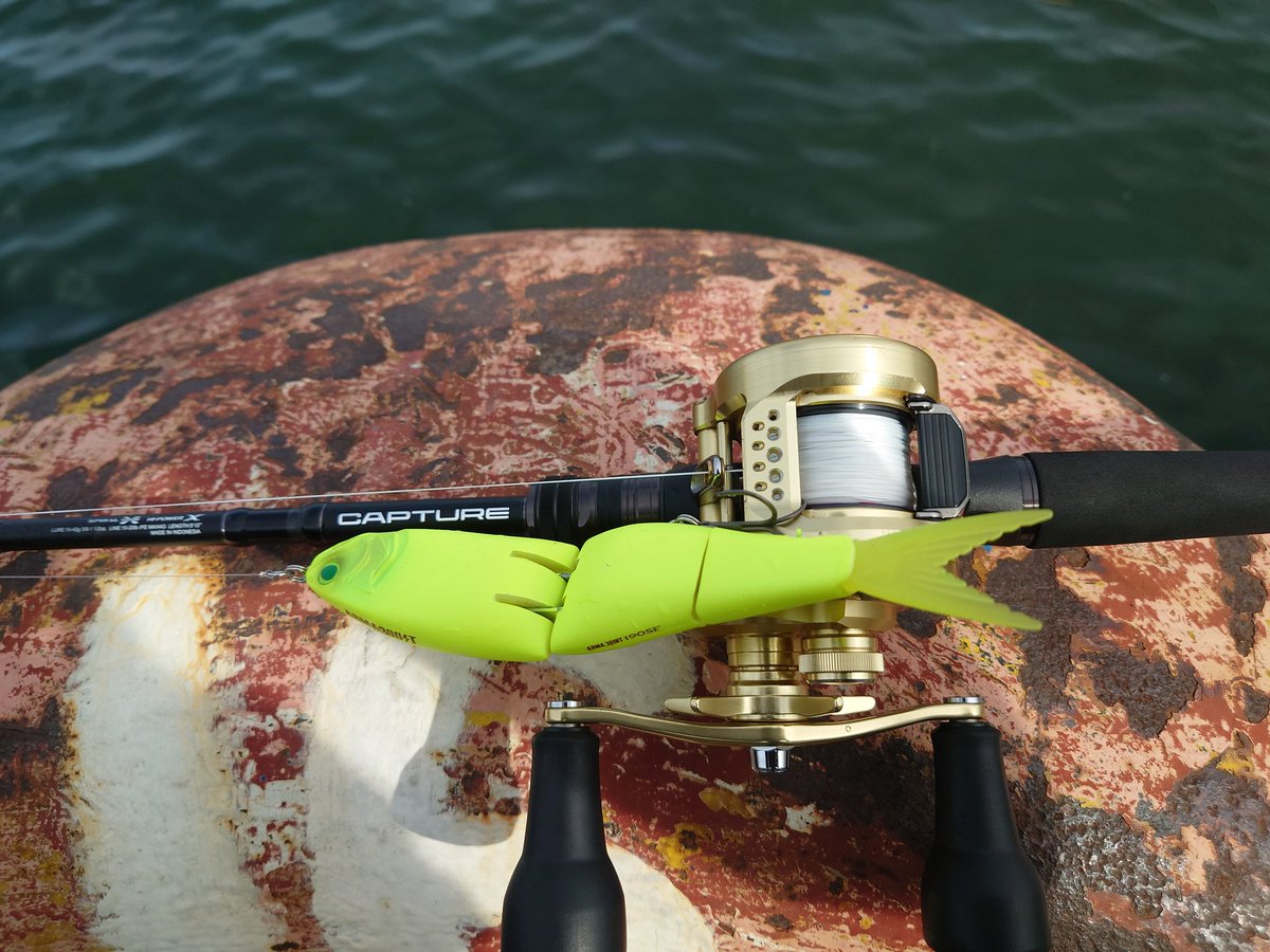 ryoji mori tweet media