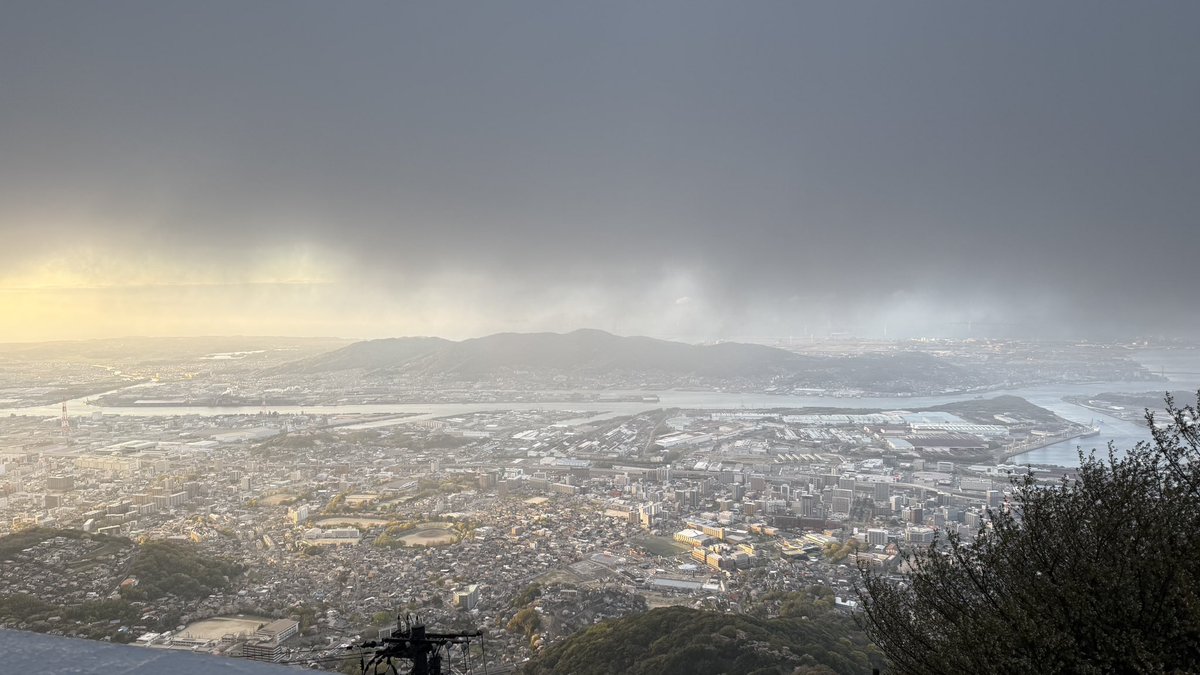 호랑이같냥 tweet media