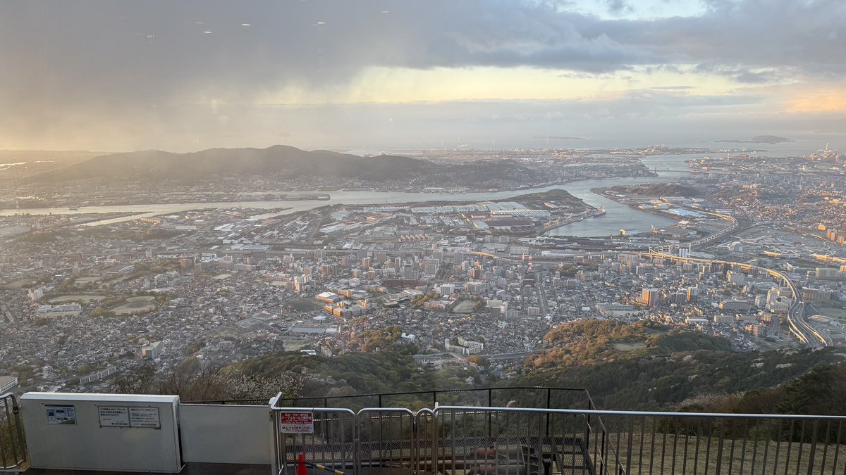 호랑이같냥 tweet media