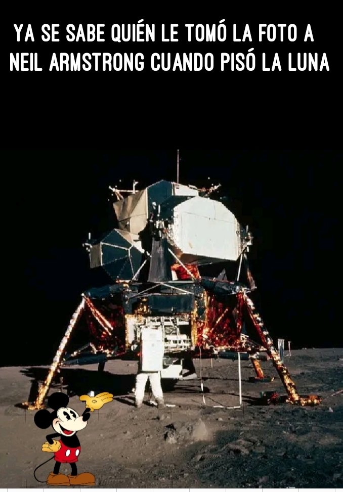 El franja tweet media