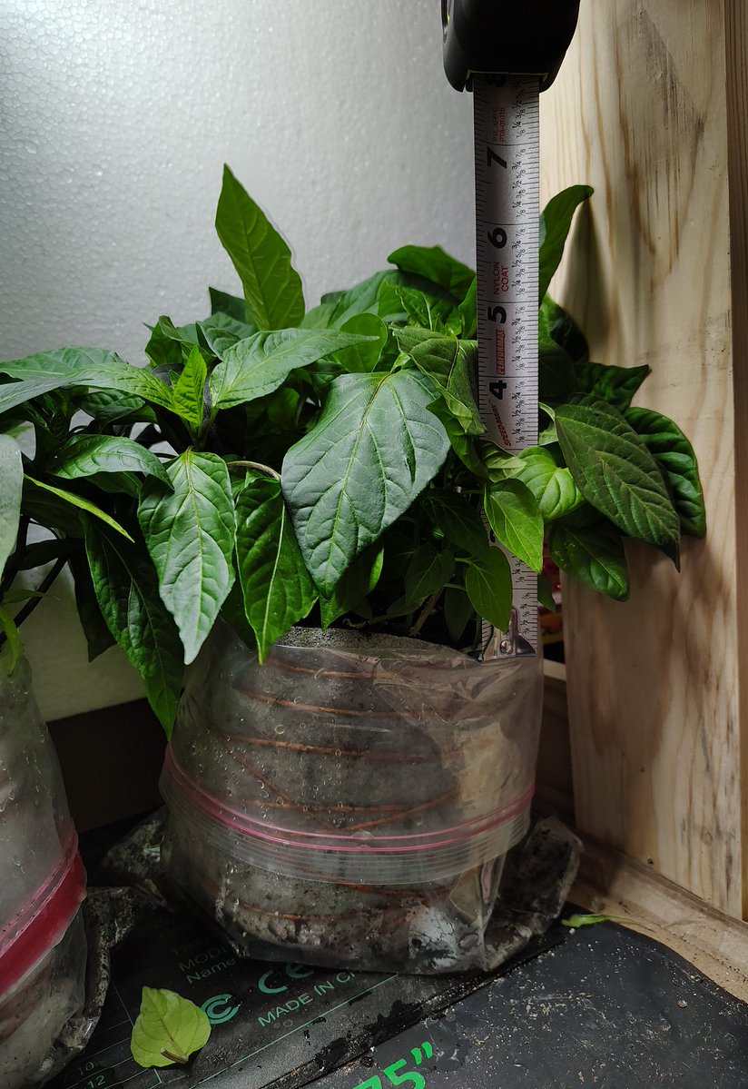 Farm Boy tweet media