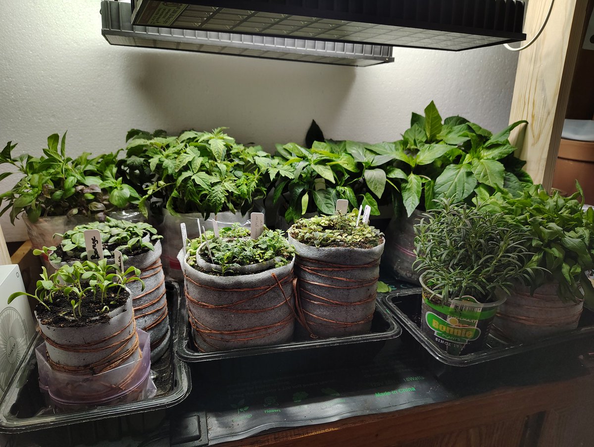 Farm Boy tweet media