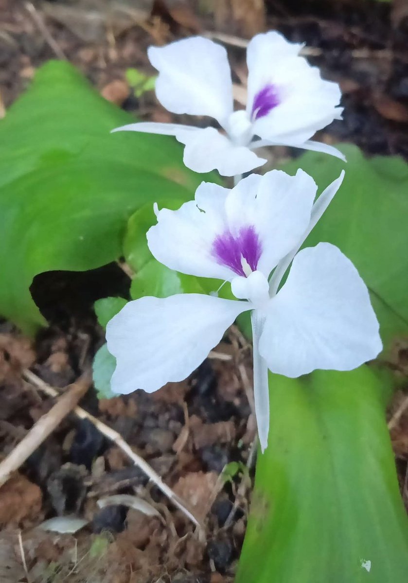 ☀️☯️ Ĕxčèĺ Ďèé🌏🌱 tweet media