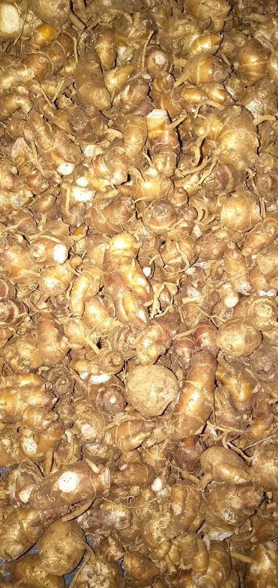 ☀️☯️ Ĕxčèĺ Ďèé🌏🌱 tweet media