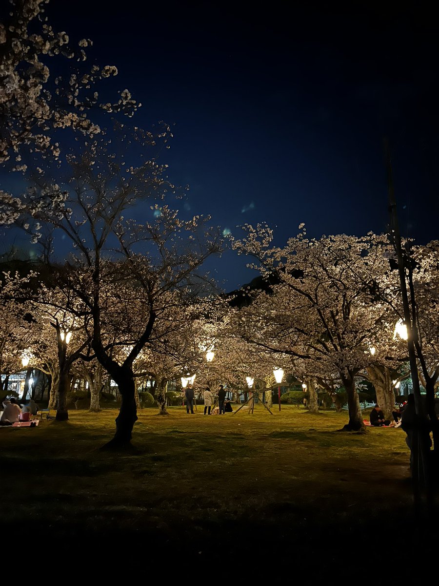 六周年企画🤡👉第一弾SPコラボ営業🤝4/8(水)18時〜👯♀️伯耆家(ほうきや) 🐯🤡 tweet media