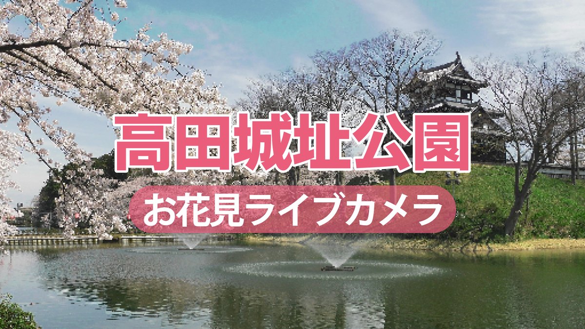上越妙高タウン情報 tweet media