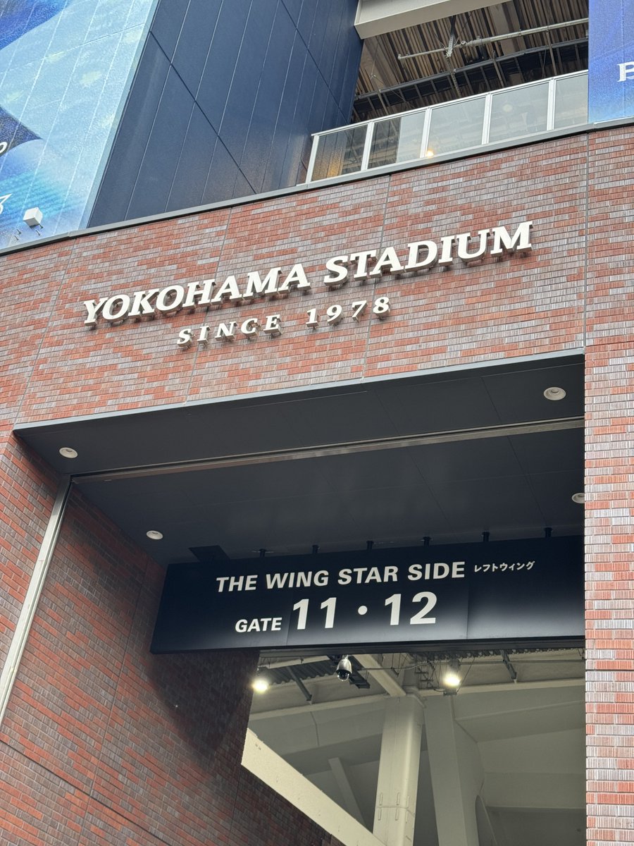 マダオ tweet media