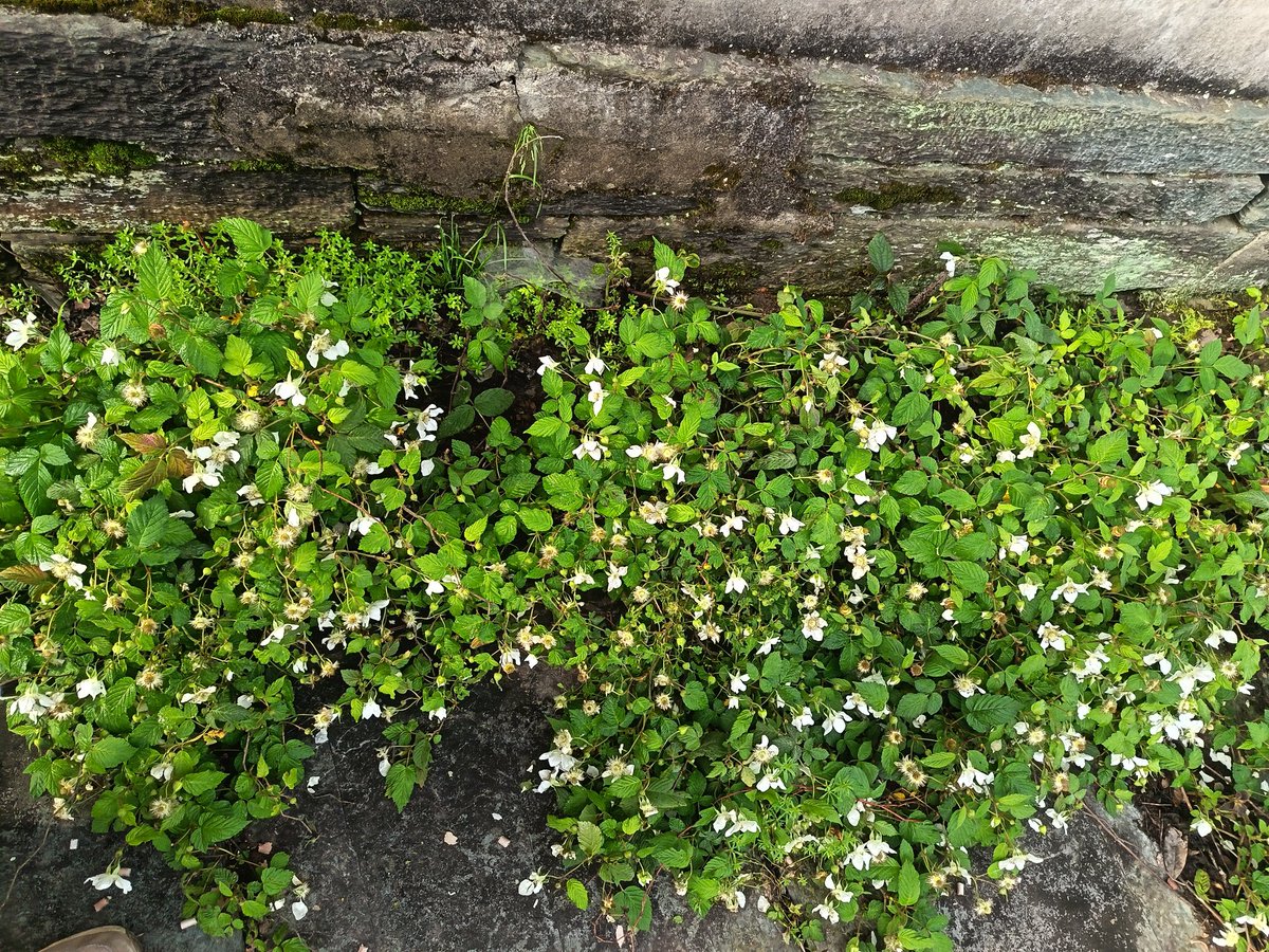 交者行孙(100%互关互fo,冲5000，永不删除，近期受限，慢慢回关，勿取关) tweet media