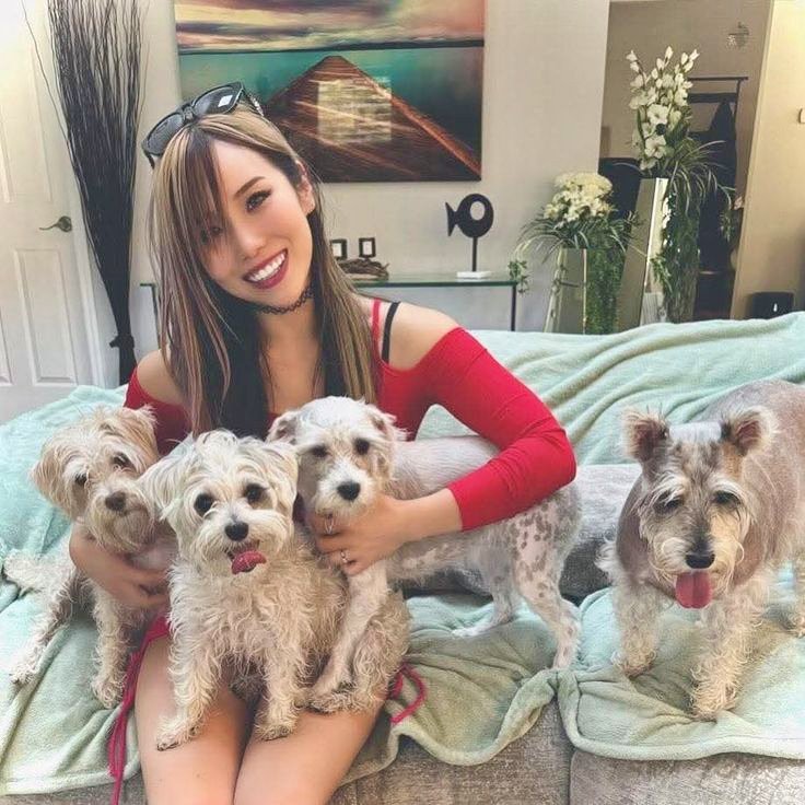 Kabuki Sweet🙏 tweet media