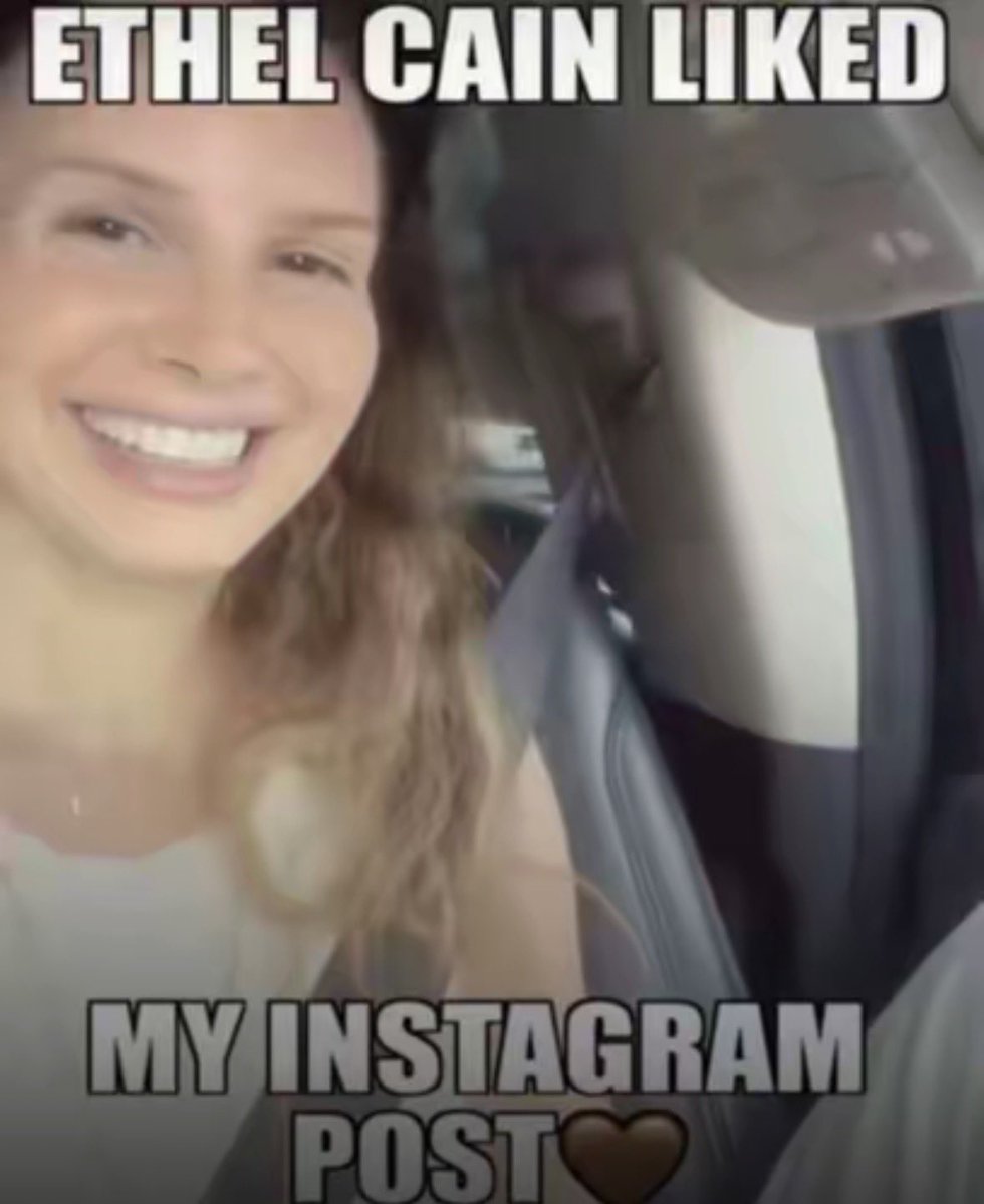 peppy 🐝 ⊹ ࣪ ˖ tweet media