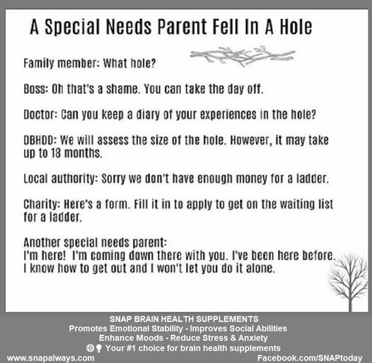 SNAP Brain Health Supplements tweet media