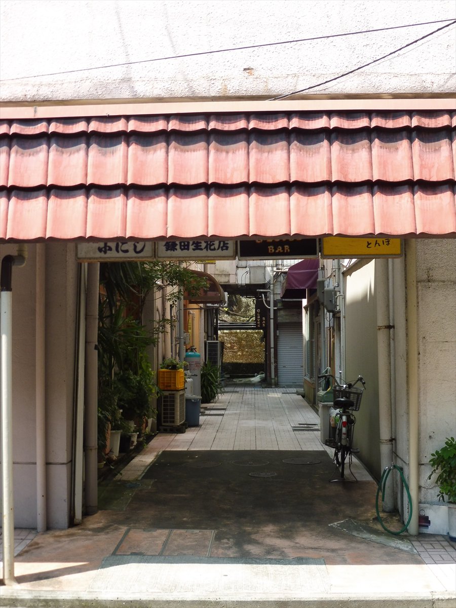 はいゆたか tweet media