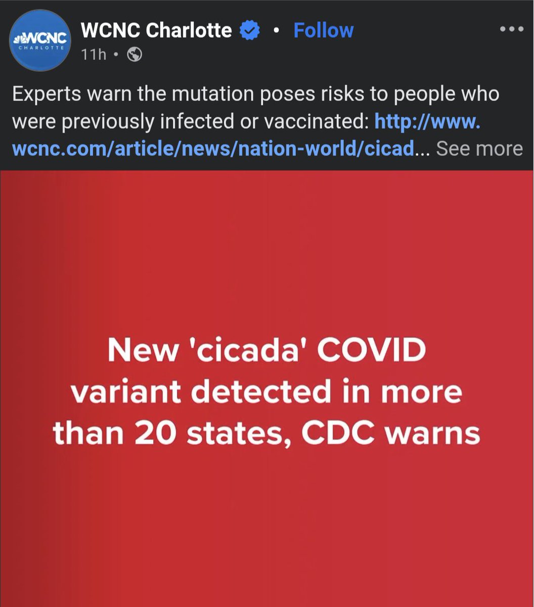 Pepe Deluxe 🐸 tweet media