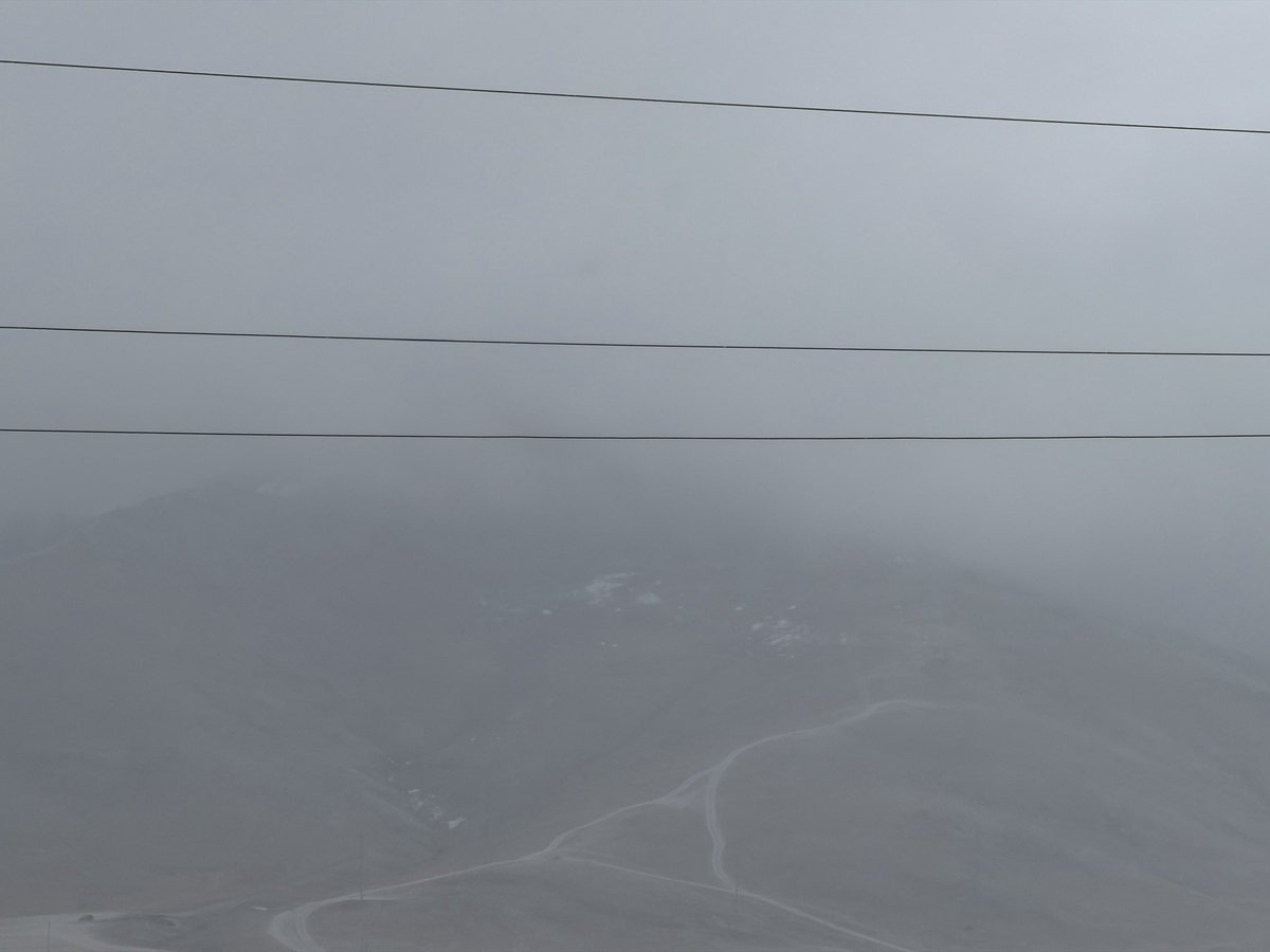 чинзориг tweet media