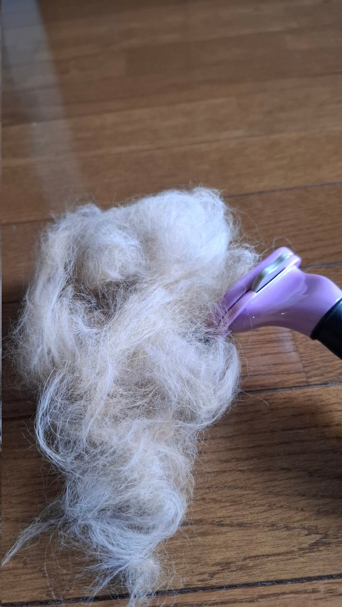 怒られた😭💔
まだまだ序の口なのに😭