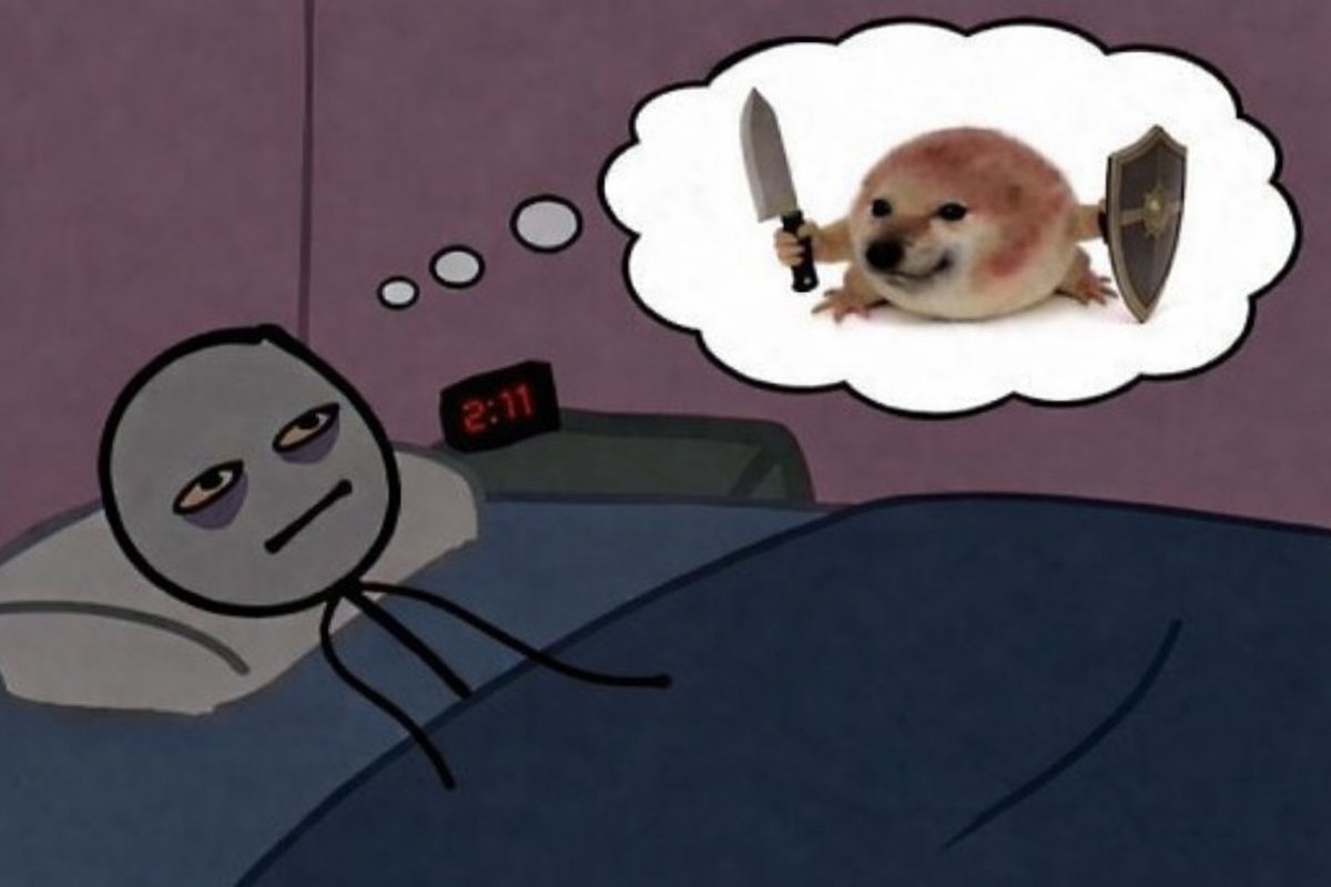 What the dog doing? | 我的刀盾 tweet media