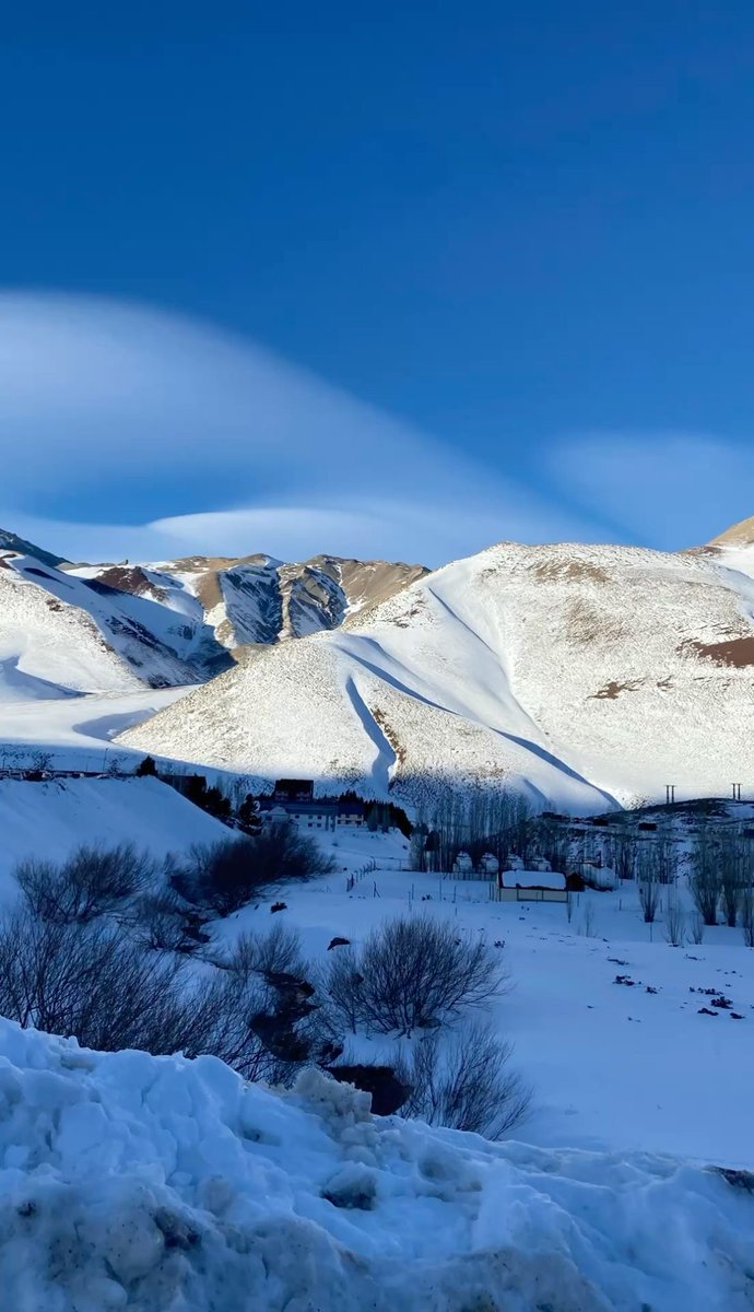 Martina 🇦🇷 tweet media