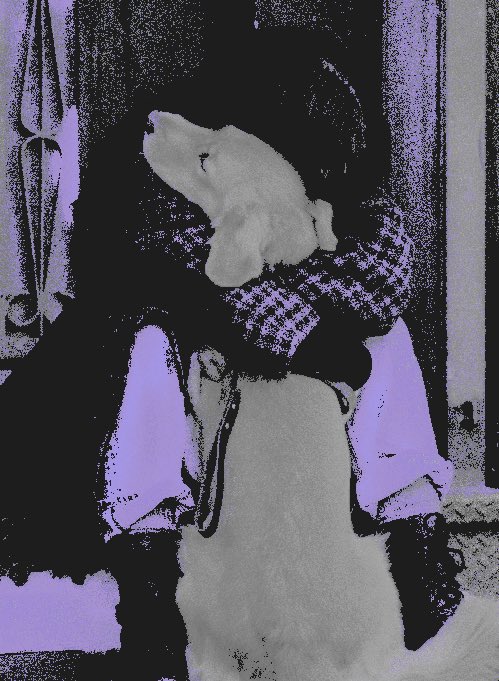 โ โ ๐ โ ห โ โเฃช โ ๐ฝhอe โ ๐ฑ๐๐ฐ๐ค๐๐ญ๐ญ๐ โ. โ tweet media