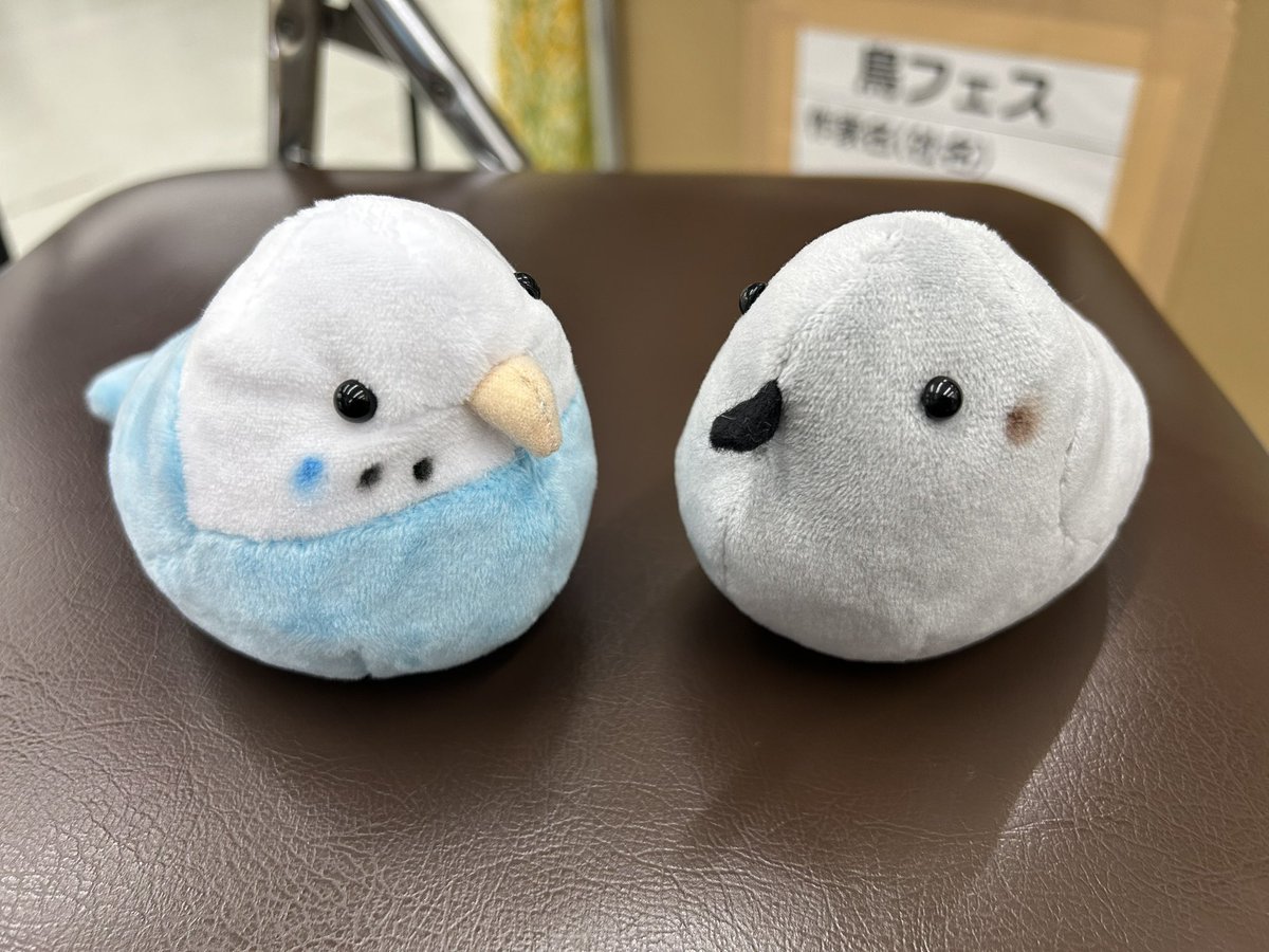 月暁-つきのあかつき- tweet media