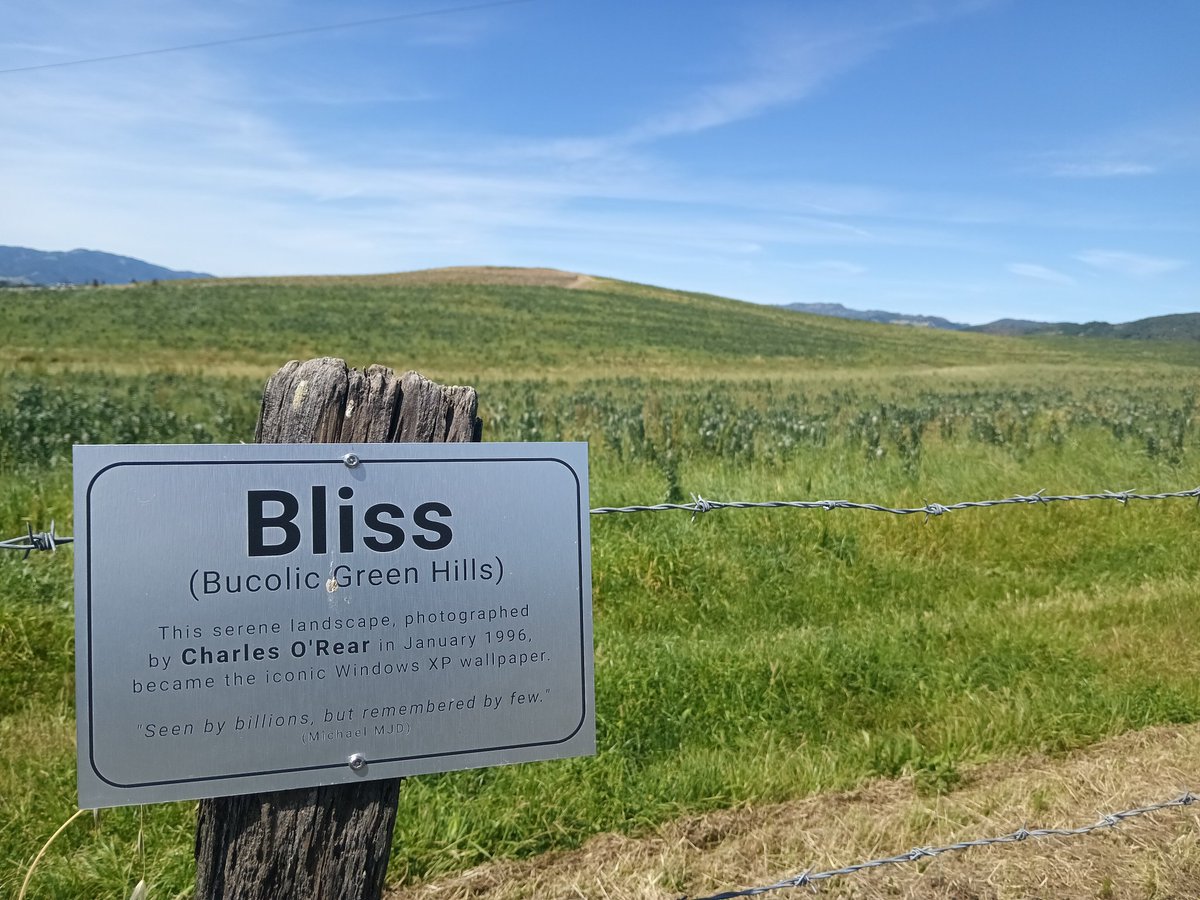 ✨Keto!!!!!✨ (silly raptor hours !) tweet media